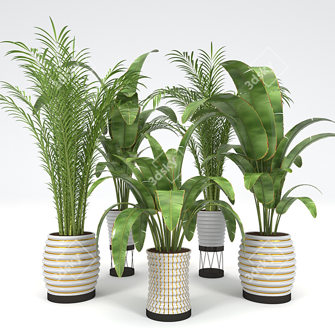Tropical Plant Collection: Palm & Banana Trees 3D model image 2