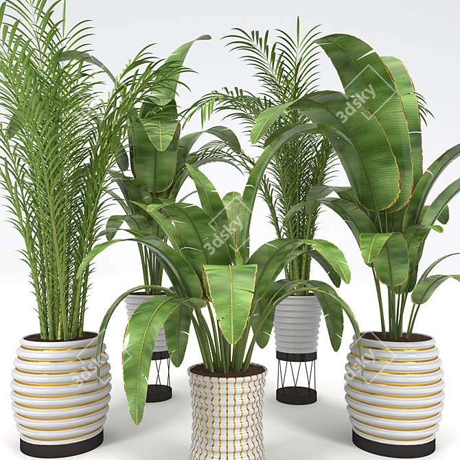 Tropical Plant Collection: Palm & Banana Trees 3D model image 3