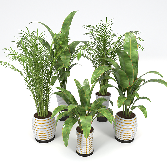 Tropical Plant Collection: Palm & Banana Trees 3D model image 4