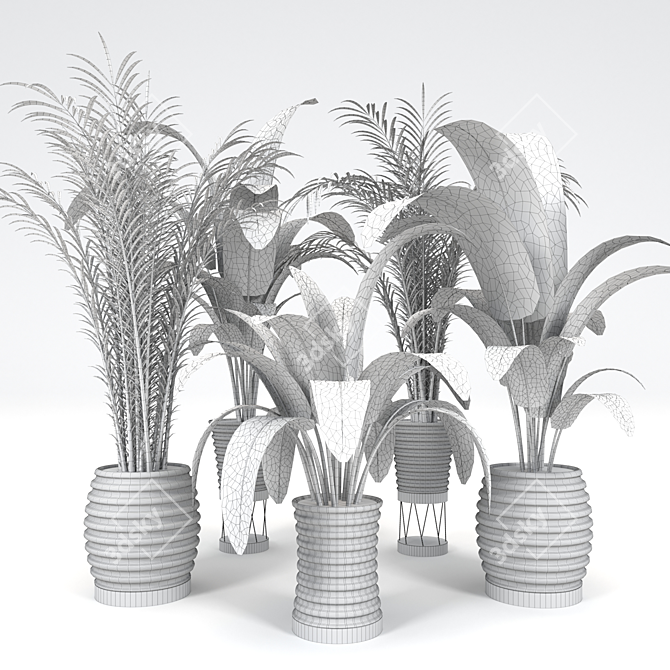 Tropical Plant Collection: Palm & Banana Trees 3D model image 5