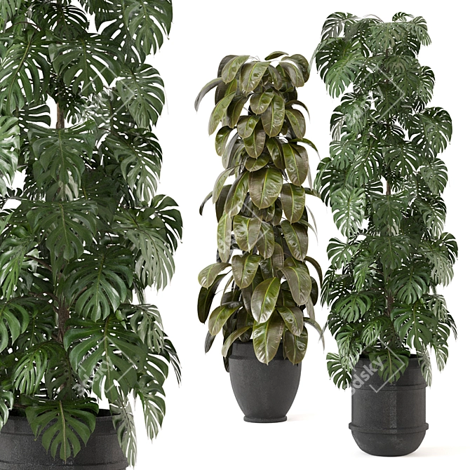 Green Oasis: Indoor Plants Collection 3D model image 1