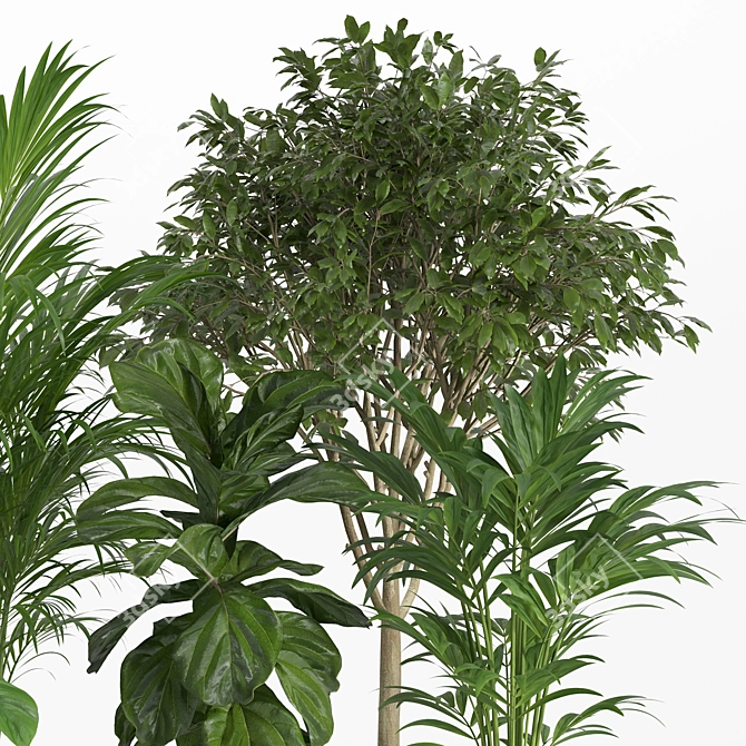 Pristine Indoor Oasis: Plant Set 018 3D model image 2