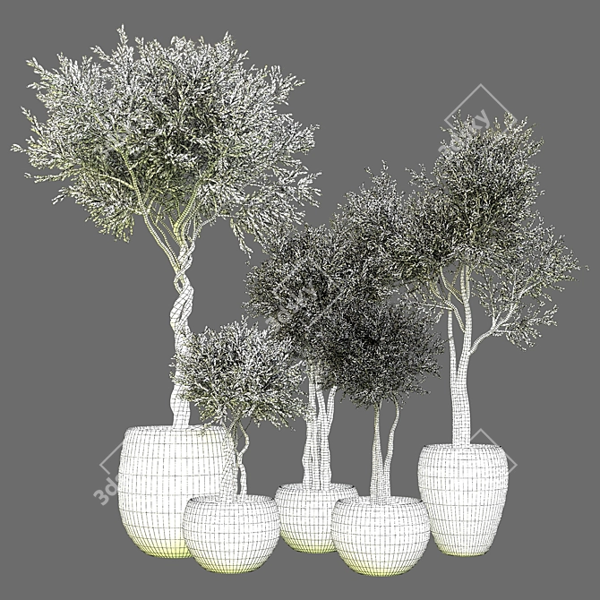 Indoor Plant Collection: Vol. 40 3D model image 4