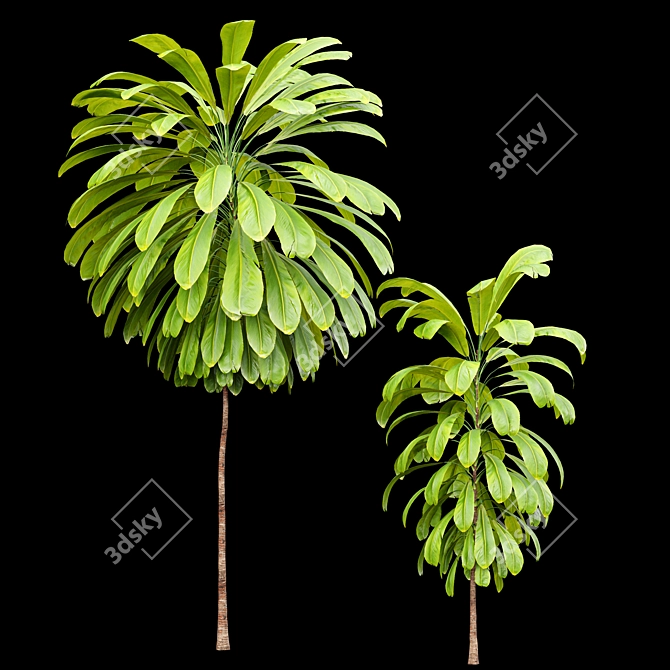 Fragrant Orchid & Palm Lily Tree Set 3D model image 2