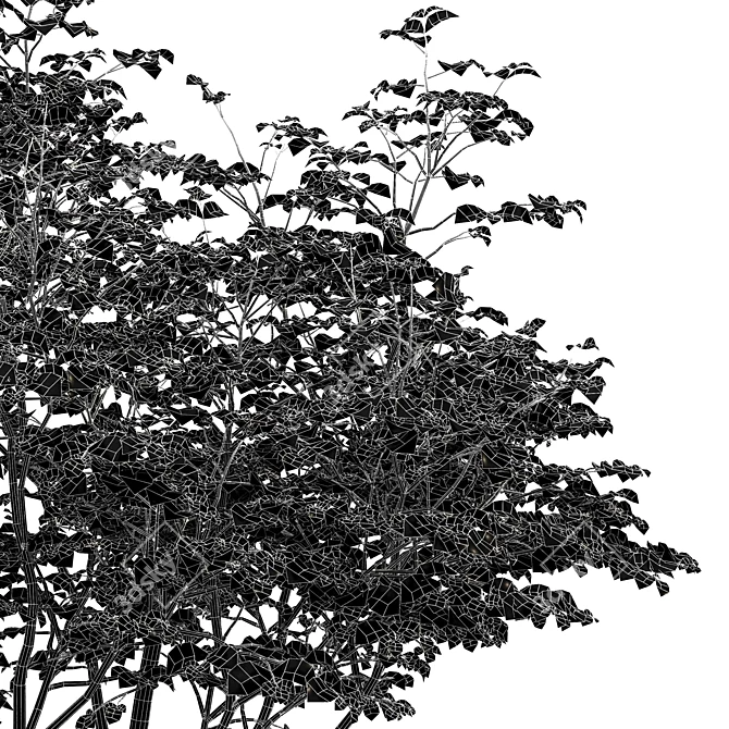 Hazel Leaves: Stunning 3D Models 3D model image 7