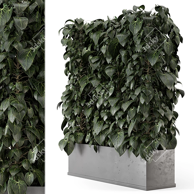 Concrete Pot - Indoor Plant Set 3D model image 1