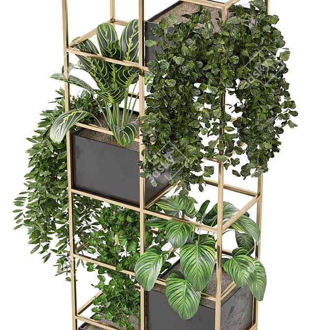 Green Oasis - Indoor Plants Collection 3D model image 6