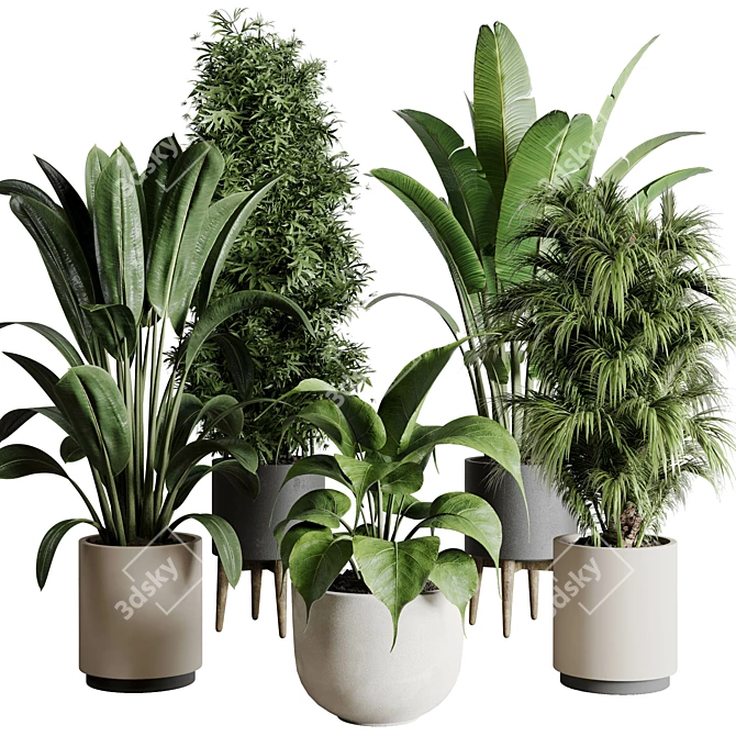 196 Plant Collection: Ficus, Rubber Palm, Ravenala, Bamboo in Concrete Vase 3D model image 1