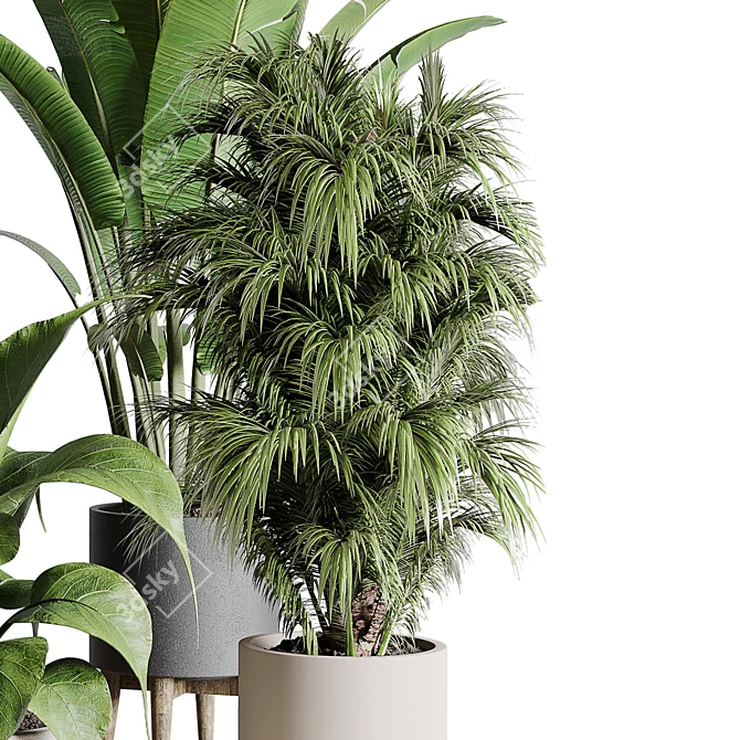 196 Plant Collection: Ficus, Rubber Palm, Ravenala, Bamboo in Concrete Vase 3D model image 4