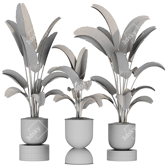 Premium Plant Collection 3D model image 2