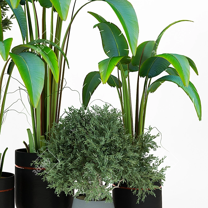 Sleek Indoor Plant Vol. 42 3D model image 3