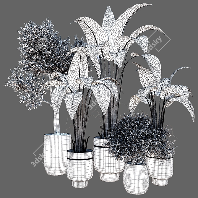 Sleek Indoor Plant Vol. 42 3D model image 4