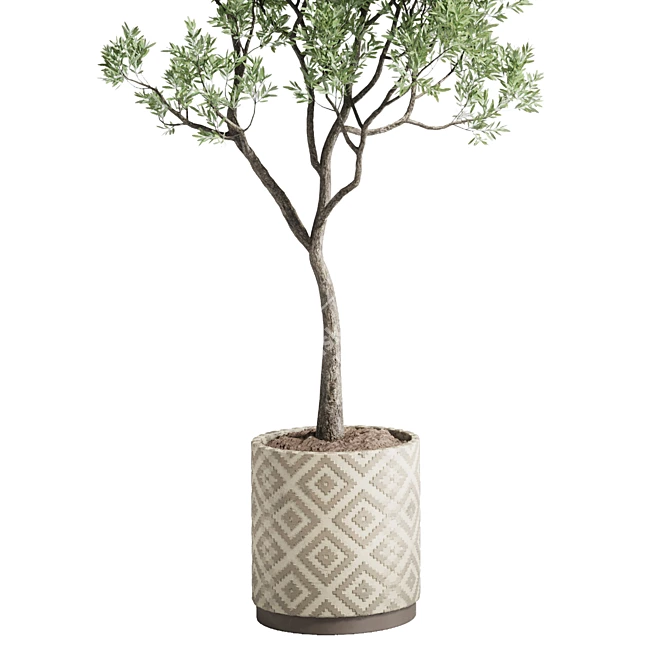 Patterned Concrete Vase with Indoor Olive Tree 3D model image 2