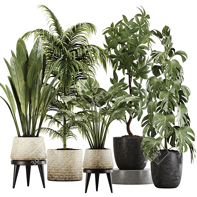 Botanical Bliss: Indoor Plant Set 20 3D model image 1