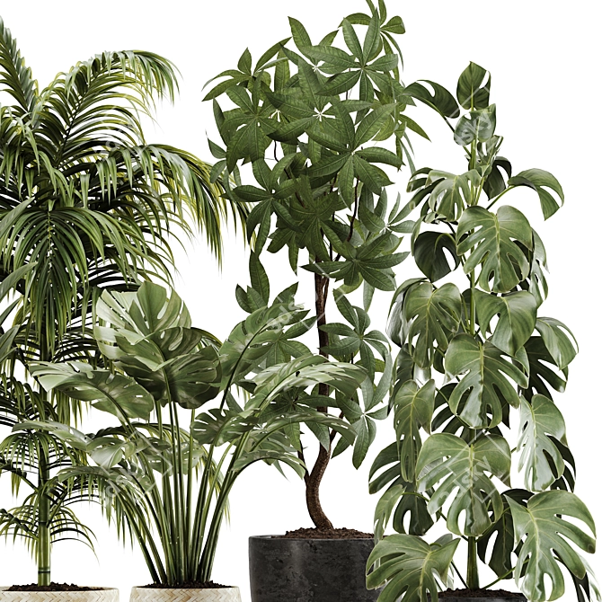 Botanical Bliss: Indoor Plant Set 20 3D model image 4