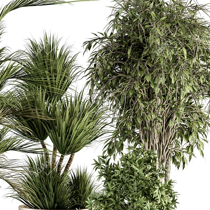 Oasis of Green: Indoor Tree & Plant Set 3D model image 3