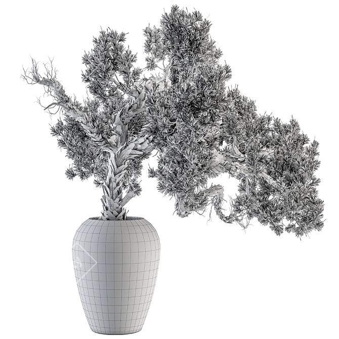 365 Days of Serene Beauty: Old Bonsai in Pot 3D model image 5