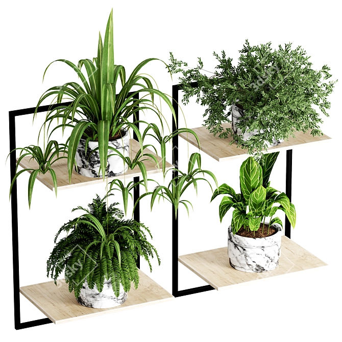 Indoor Plant Collection - 56 Varieties 3D model image 1