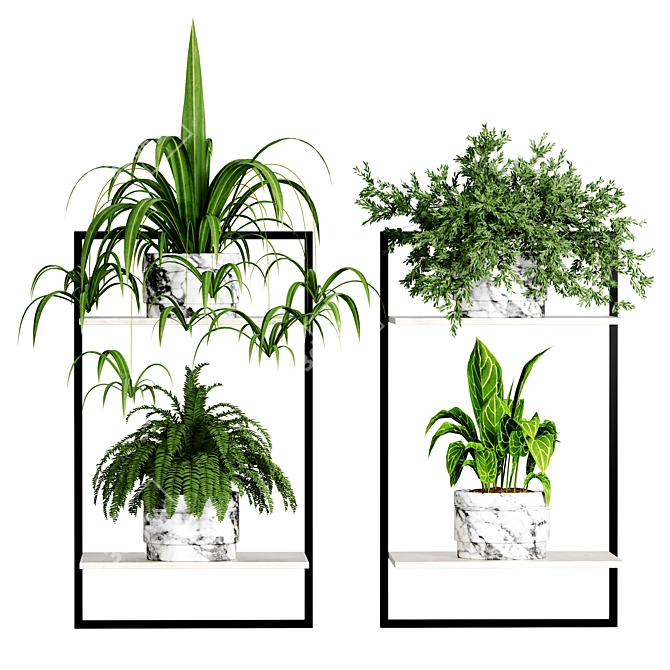 Indoor Plant Collection - 56 Varieties 3D model image 2