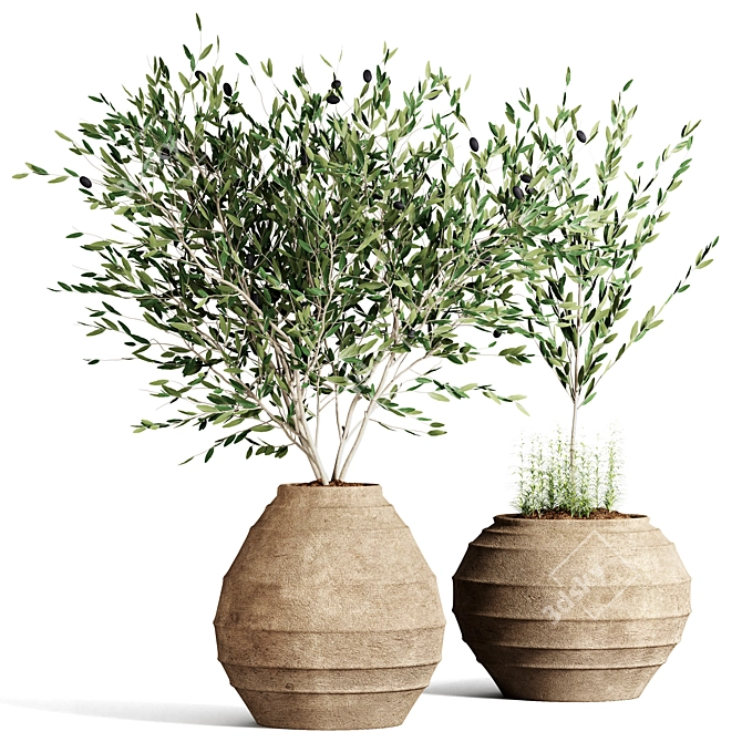 Indoor Plant Collection 57 3D model image 1