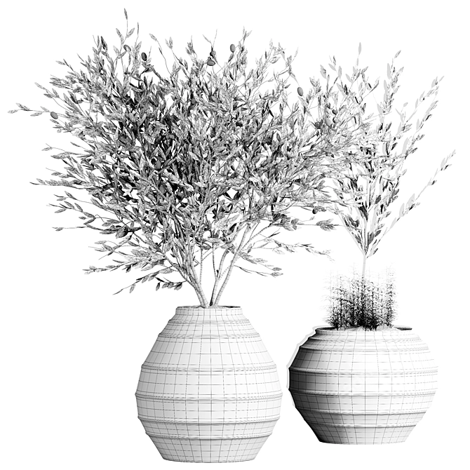 Indoor Plant Collection 57 3D model image 4