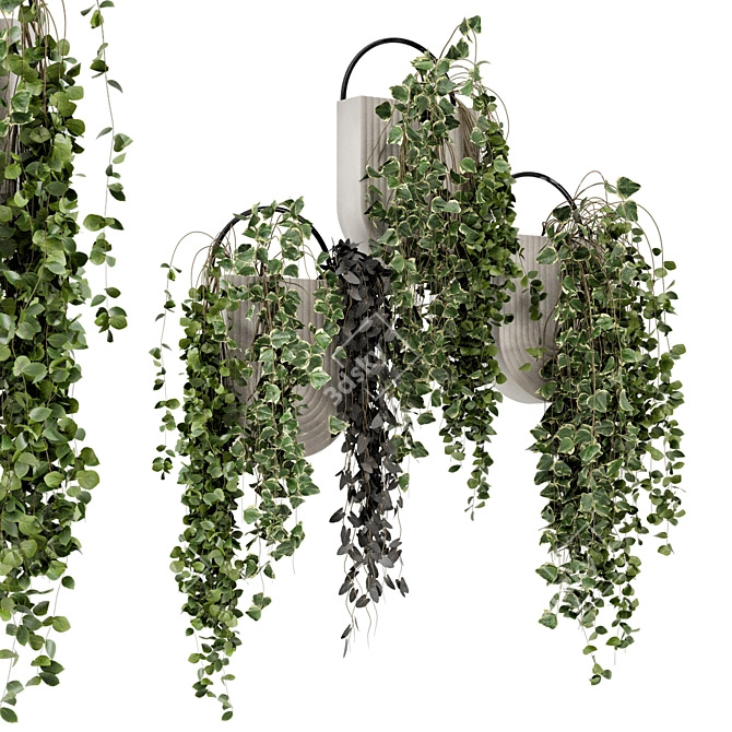 Concrete Pot Hanging Plants - Set 528 3D model image 1