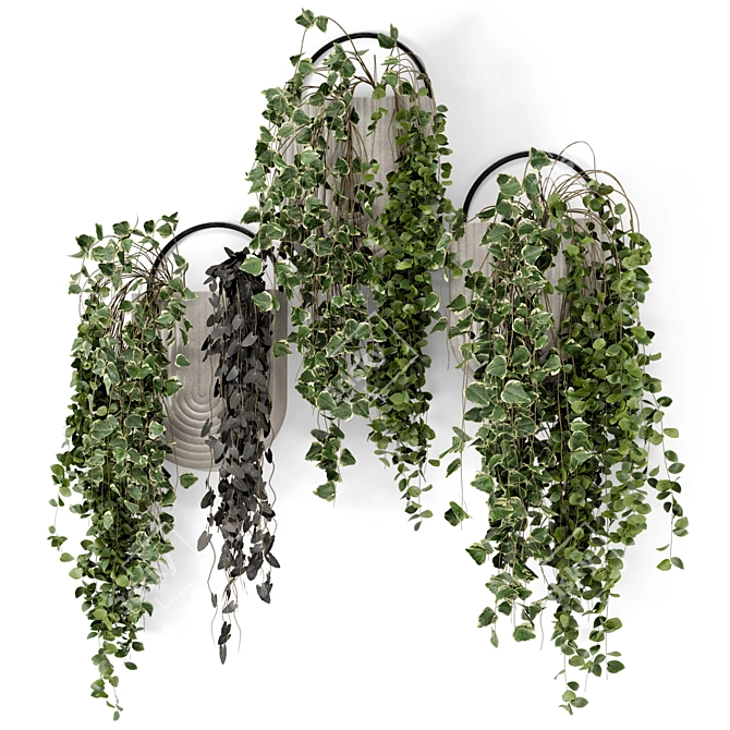 Concrete Pot Hanging Plants - Set 528 3D model image 2