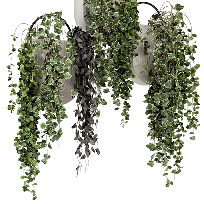 Concrete Pot Hanging Plants - Set 528 3D model image 3