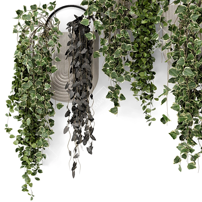Concrete Pot Hanging Plants - Set 528 3D model image 4