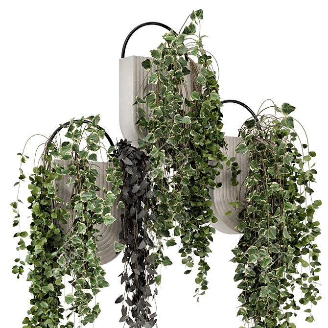 Concrete Pot Hanging Plants - Set 528 3D model image 5