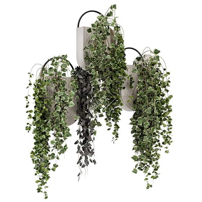 Concrete Pot Hanging Plants - Set 528 3D model image 6