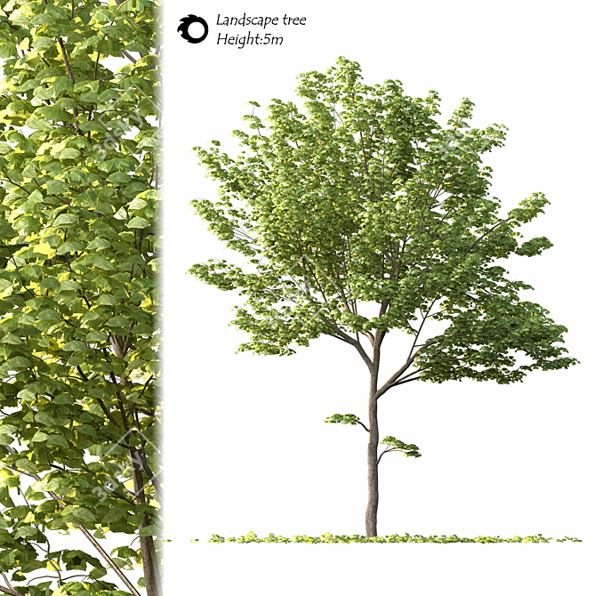2014 Landscape Tree Sculpture 3D model image 1
