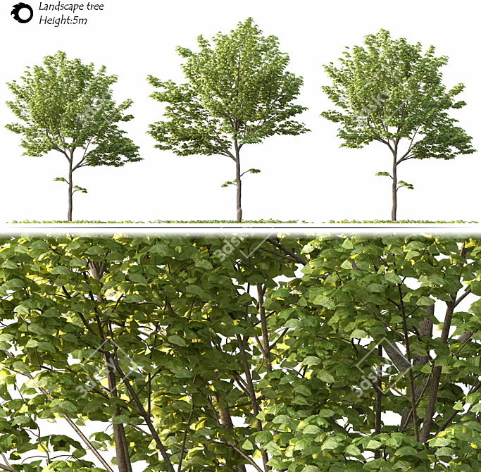 2014 Landscape Tree Sculpture 3D model image 2