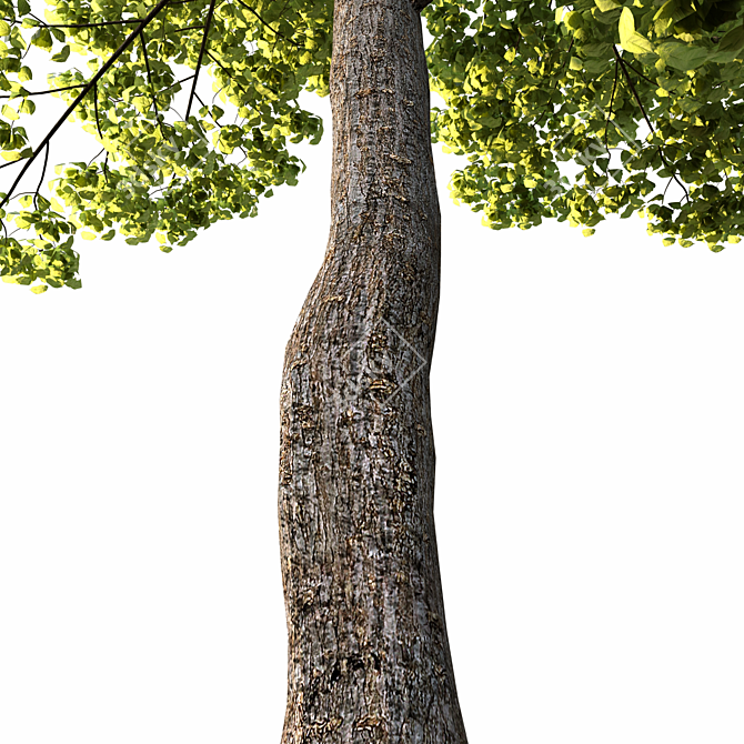 2014 Landscape Tree Sculpture 3D model image 3