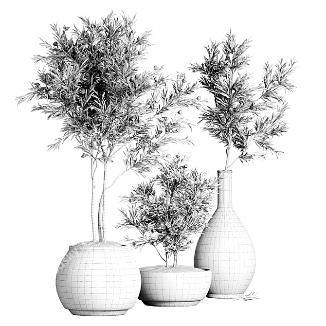 Indoor Plant Collection 58 3D model image 5
