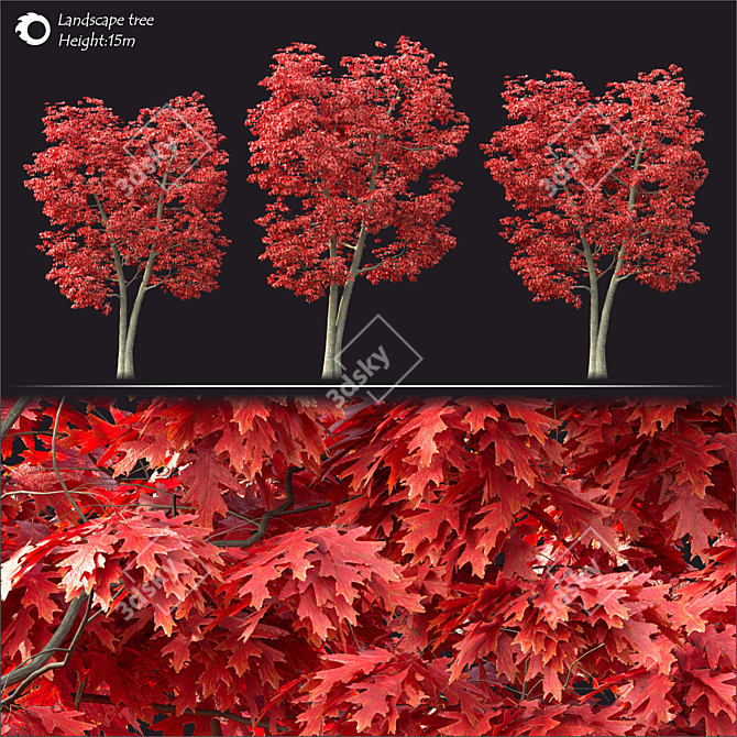 2014 Landscape Tree: 15cm Height | Corona Render 3D model image 2