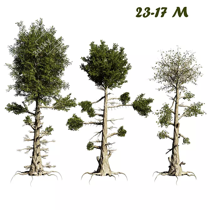 Prismatic Pine Tree - High Quality 3D Model 3D model image 3