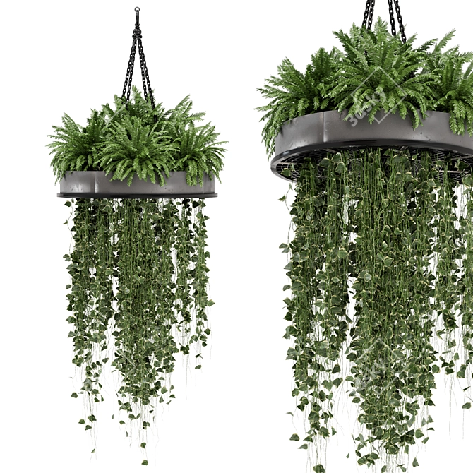 Metal Box Hanging Plants for Indoor Décor 3D model image 2