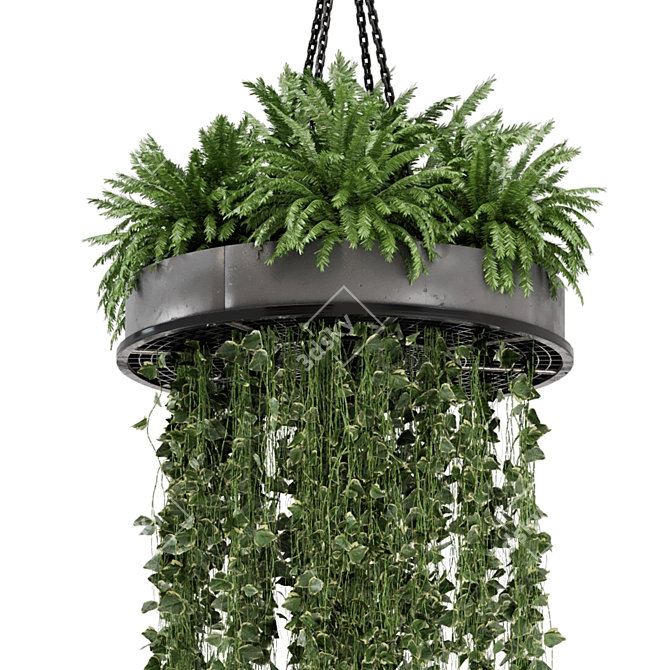 Metal Box Hanging Plants for Indoor Décor 3D model image 4