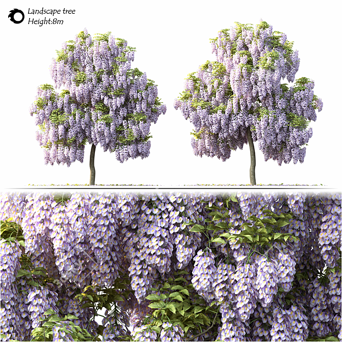 2014 Landscape Tree: 8m Height, Corona Render 3D model image 2