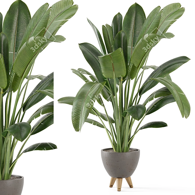 Rusty Concrete Pot Indoor Plants Set 3D model image 1