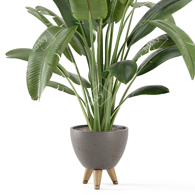 Rusty Concrete Pot Indoor Plants Set 3D model image 3