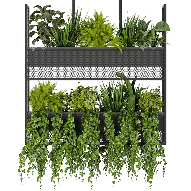 Green Oasis Hanging Plant Collection 3D model image 2