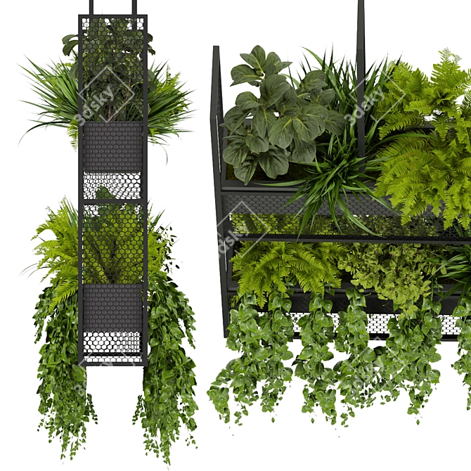 Green Oasis Hanging Plant Collection 3D model image 5