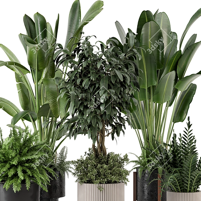 Rusty Concrete Pot Set: Indoor Plants 3D model image 2