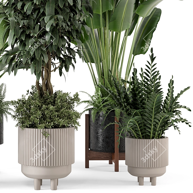 Rusty Concrete Pot Set: Indoor Plants 3D model image 4