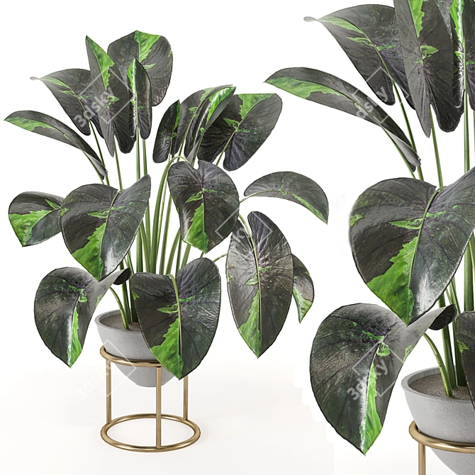 Nature's Haven Indoor Plant Set 3D model image 1