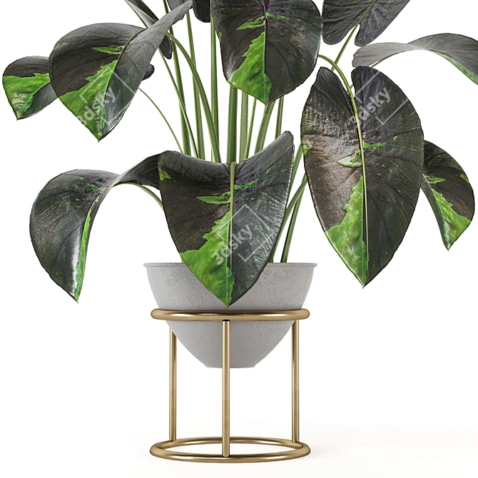 Nature's Haven Indoor Plant Set 3D model image 2