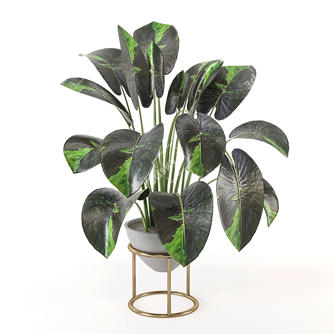 Nature's Haven Indoor Plant Set 3D model image 4