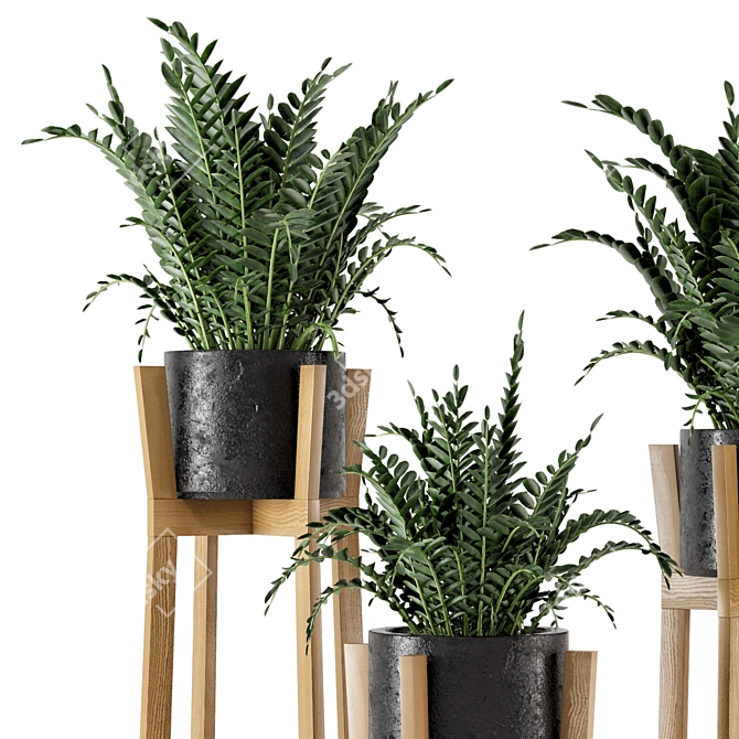 Rustic Indoor Plants in Concrete Pot - Set 535 3D model image 2